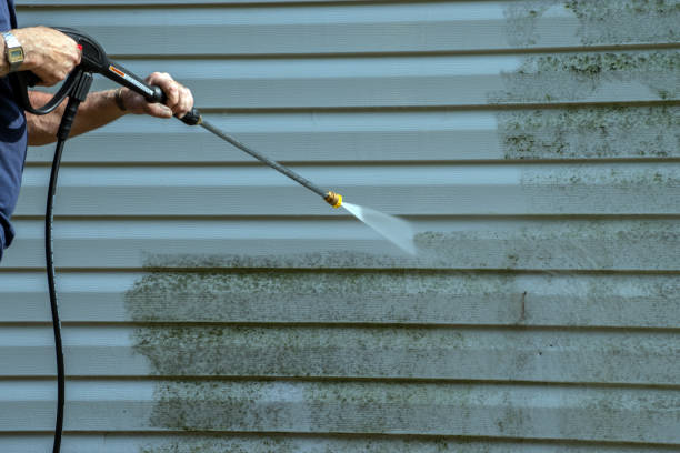 Best Affordable Pressure Washing  in Wyanet, IL