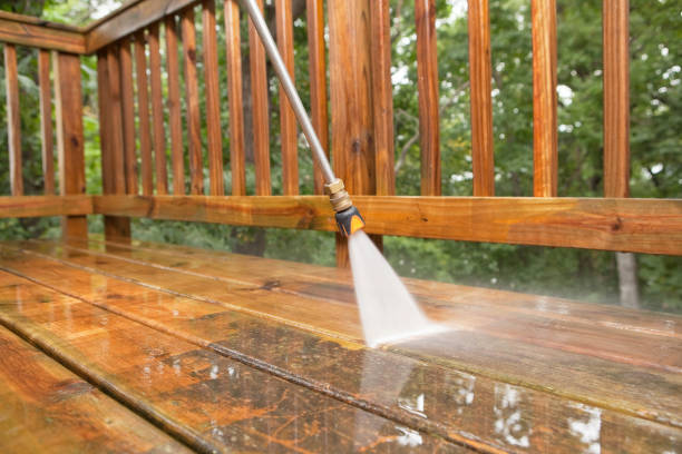 Best Pressure Washing Near Me  in Wyanet, IL