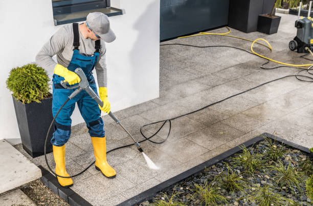 Best Deck Cleaning Services  in Wyanet, IL